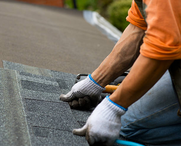 Best Storm Damage Roof Repair  in Norwich, NY